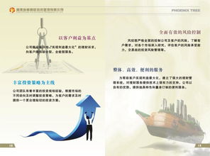 福建梧桐樹投資圖冊 深耕本土的資本管理之道