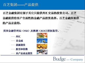 蘭州中恒嘉匯投資管理咨詢圖冊